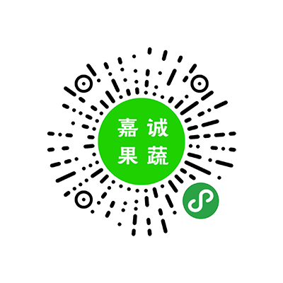 VI設計服務